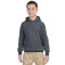 Chandail à capuchon pour adolescents Heavy BlendMD 13,3 oz, 50/50