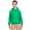 Chandail à capuchon pour adolescents Heavy BlendMD 13,3 oz, 50/50