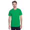 Adult Heavy Cotton™ T-Shirt