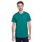 Adult Heavy Cotton™ T-Shirt