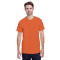 Adult Heavy Cotton™ T-Shirt