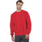 Champion Reverse WeaveMD - 17,15 oz/verge, Molleton à col rond