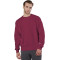 Champion Reverse WeaveMD - 17,15 oz/verge, Molleton à col rond