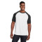Unisex Zone Colorblock Raglan T-Shirt