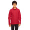 Youth Campus Microfleece Jacket